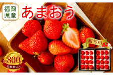 【アフター保証】贈答用 あまおう 約800g【2025年12月上旬～2026年1月上旬発送予定】 いちご イチゴ 苺 化粧箱入り