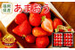 【アフター保証】贈答用 あまおう 約800g