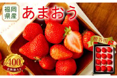 【アフター保証】贈答用 あまおう 約400g【2026年2月上旬～2026年4月上旬発送予定】 いちご イチゴ 苺 化粧箱入り