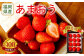 【アフター保証】贈答用 あまおう 約400g