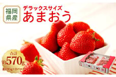 【アフター保証】うるう農園 あまおう DX等級 2パック （約570g）【2026年2月上旬～2026年4月上旬発送予定】 いちご イチゴ 苺 フルーツ 果物