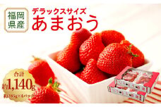【アフター保証】うるう農園 あまおう DX等級 4パック （約1140g）【2025年12月上旬～2026年1月下旬発送予定】 いちご イチゴ 苺 フルーツ 果物