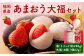 【アフター保証】あまおう大福セット