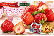  福岡産【春】フルーツ専門店が選んだ あまおう 6パック いちご 苺 果物 フルーツ 福岡 太宰府【2026年2月上旬～3月下旬発送予定】