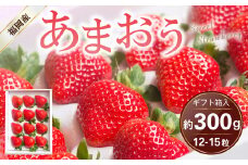 福岡県産 あまおう ギフト箱 12-15粒 約300g いちご 苺 フルーツ 国産【2025年12月上旬～2026年3月下旬発送予定】