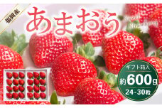 福岡県産 あまおう ギフト箱 24-30粒 約600g いちご 苺 フルーツ 国産【2025年12月上旬～2026年3月下旬発送予定】