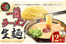 一蘭ラーメン生麺セット （12食入）【2025年8月発送予定】  一蘭 ラーメン 生麺 麺 豚骨