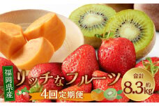 福岡のリッチなフルーツ 4回 定期便 フルーツ 果実 果物 秋王 甘うぃ あまおう 柿 キウイ いちご【2025年10月下旬～2026年1月下旬発送予定】
