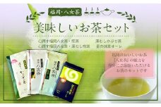 福岡 八女茶 美味しいお茶セット