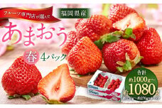 福岡産【春】 フルーツ専門店が選んだ あまおう 4パック いちご 苺 果物 フルーツ 福岡 太宰府【2026年2月上旬～3月下旬発送予定】