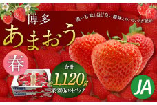 博多 あまおう 4パック（春）【2026年2月上旬～4月下旬発送予定】