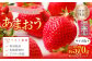 あまおうサイズ色々 約570g（約285g×2パック）