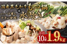 国産黒毛和牛もつ鍋 6人前 冷凍ちゃんぽん・濃縮スープ付＋ハーブ育ちチキン使用！水炊き4人前 合計10人前