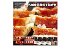 これぞ餃子!!　九州産黒豚餃子詰合せ　(福津の極み認定商品)＆自家製柚子胡椒[F3211]