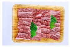 【A5ランク】博多和牛焼肉用(バラ）500g[F2165]