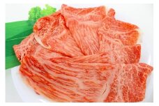 【A5ランク】博多和牛特選リブロース（すき焼き）500g[F2166]