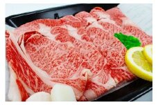 【A5ランク】博多和牛特上もも（しゃぶしゃぶ用）500g[F2167]