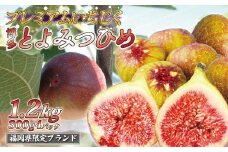 【2025年8月より順次発送】福岡県産とよみつひめ　約300g×4パック[F2223a]