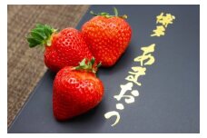 【2025年12月発送】博多あまおうEX　贈答化粧箱450g×2箱[G2248]