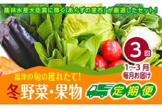 【3ヶ月定期便】穫れたて!冬野菜・果物定期便（1～3月）★あんずの里[G7005]