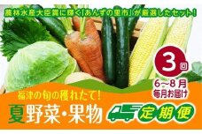 【3ヶ月定期便】穫れたて!夏野菜・果物定期便（6～8月）★あんずの里[G7006]