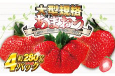 【2026年2月より順次発送】★大玉規格★博多あまおう4パック　約1,120g[G2244]