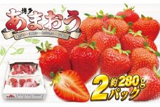 【2026年2月より順次発送】博多あまおう2パック　約560g[G2242]