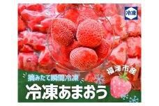 摘みたて瞬間★冷凍あまおう小分けパック1.5kg（250g×6P）[F0021]