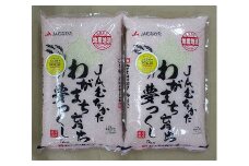 【福岡県産米】夢つくし10kg 令和6年産[F2234a]