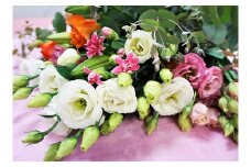 【年4回春夏秋冬】季節のお花バラエティセット定期便★あんずの里【随時開始】[G7009]