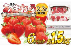 【2026年2月より順次発送】博多あまおう特別6パック　約1.5kg[G2245]