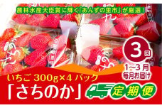 【2026年1月～3月発送】【3ヶ月定期便】「さちのか」いちご300g×4Pを3回お届け[G7007]