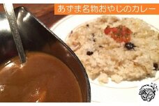 あずま名物おやじのカレー5食[G4412]