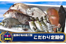 【年6回奇数月】福津の旬の魚介類こだわり定期便【随時開始】[G7019]