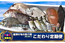 【年6回奇数月】福津の旬の魚介類こだわり定期便【加工承り】【随時開始】[G7018]