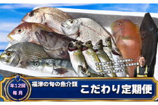 【年12回毎月】福津の旬の魚介類こだわり定期便【随時開始】[G7017]