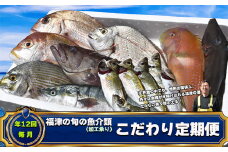 【年12回毎月】福津の旬の魚介類こだわり定期便【加工承り】【随時開始】[G7016]