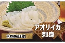 これは食べなイカん！！ お刺身アオリイカ600g（50g×12P）[G0063]