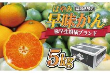 【2025年9月中旬より順次発送】JAむなかたブランドみかん【姫神】（早味かん）約5kg[F2281a]