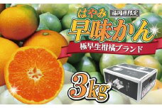 【2025年9月中旬より順次発送】JAむなかたブランドみかん【姫神】（早味かん）約3kg[F2280a]