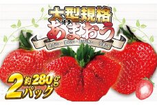 【2026年2月より順次発送】★大玉規格★博多あまおう2パック　約560g[G2224]