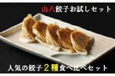山八餃子お試しセット★人気の餃子2種食べ比べセット（山八餃子・黒豚餃子）【特製たれ付】計32個[F4429]