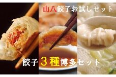 山八餃子お試しセット★餃子3種博多セット（博多明太子餃子・博多一口黒豚餃子・博多水餃子）計46個[F4430]