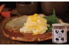 『舌鼓』玄界灘産ヤリイカのゆず塩辛【冷凍】瓶詰め　100g×3本　計300g[G4466]