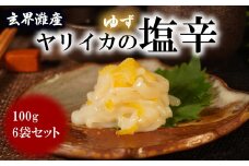 【玄界灘産】自家製ヤリイカのゆず塩辛＜食べきりサイズ＞たっぷり100g×6パック[F4467]