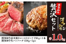 博多和牛贅沢セット（生ハンバーグ150g×5パック、直火焼きローストビーフ250g×1本）計1kg[F4510]