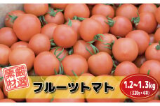 福津が誇る”冬野菜”ジューシーで甘い「久保田農園のフルーツトマト」×4袋[F0074]