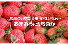 【2026年1月発送開始】いちご2種食べ比べセット「あまおう」「さちのか」各2パック計1,160g★あんずの里[G0073]