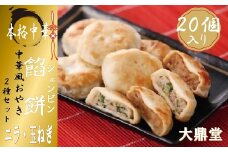 大鼎堂のおやき2種セット（豚にら・豚玉ねぎ）10個×2種　計20個[F4513]