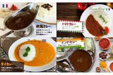 手作り！世界のカレー4種お試しセット(各1食、計4食）[F4530]